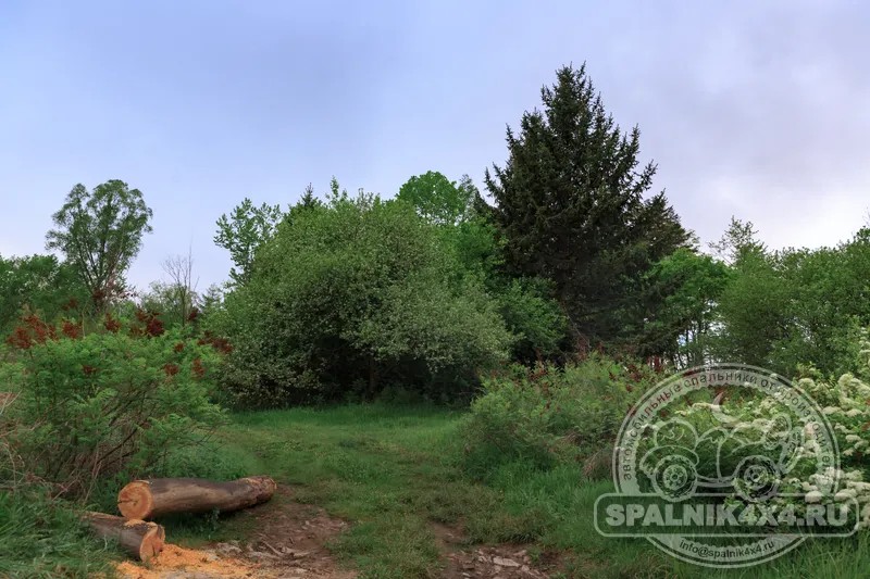 Photo 37
